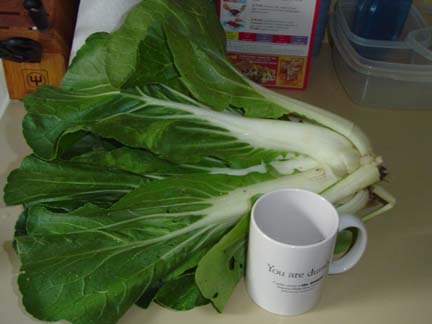 The Onion 'You Are Dumb' mug inserted for scale